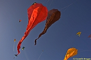 32 FESTIVAL CERVIA 2012 - 076